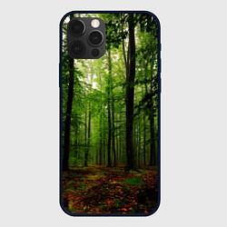 Чехол для iPhone 12 Pro Лес, цвет: 3D-черный