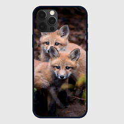 Чехол для iPhone 12 Pro Лисички фото, цвет: 3D-черный