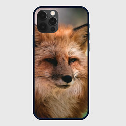 Чехол для iPhone 12 Pro Строгая лисица, цвет: 3D-черный