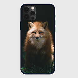 Чехол для iPhone 12 Pro Хитрый лис на черном фоне, цвет: 3D-черный