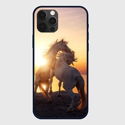 Чехол для iPhone 12 Pro Лошади на закате, цвет: 3D-черный