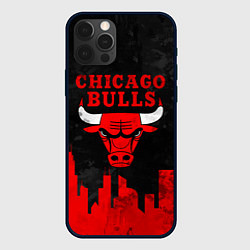 Чехол для iPhone 12 Pro Chicago Bulls, Чикаго Буллз Город, цвет: 3D-черный