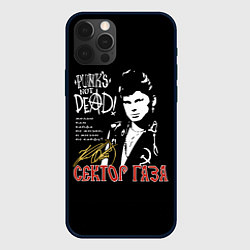 Чехол для iPhone 12 Pro Сектор Газа Punks Not Dead, цвет: 3D-черный