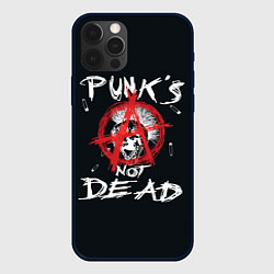 Чехол iPhone 12 Pro Punks Not Dead Анархия