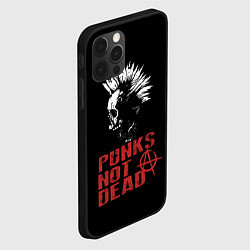 Чехол для iPhone 12 Pro Punks Not Dead, цвет: 3D-черный — фото 2