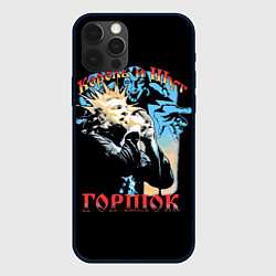 Чехол для iPhone 12 Pro Король и Шут ГОРШОК, цвет: 3D-черный