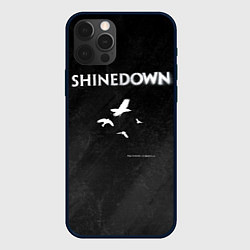Чехол для iPhone 12 Pro The Sound of Madness Shinedown, цвет: 3D-черный