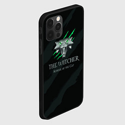 Чехол для iPhone 12 Pro The Witcher School of the Cat, цвет: 3D-черный — фото 2