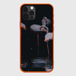 Чехол для iPhone 12 Pro Фламинго - вода, цвет: 3D-красный