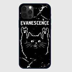 Чехол iPhone 12 Pro Группа Evanescence и рок кот