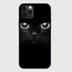 Чехол для iPhone 12 Pro Взгляд чёрного кота, цвет: 3D-черный