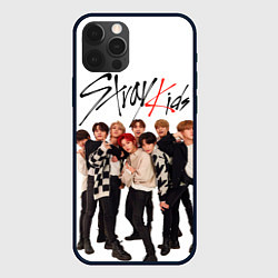 Чехол для iPhone 12 Pro Stray Kids white background, цвет: 3D-черный