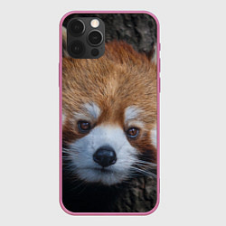 Чехол для iPhone 12 Pro Крaсная панда, цвет: 3D-малиновый