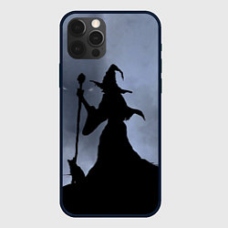 Чехол для iPhone 12 Pro Halloween - силуэт ведьмы с котом, цвет: 3D-черный