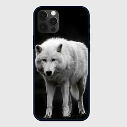 Чехол для iPhone 12 Pro Белый волк на темном фоне, цвет: 3D-черный