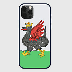 Чехол для iPhone 12 Pro Герб города Казань, цвет: 3D-черный