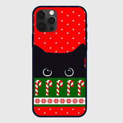 Чехол для iPhone 12 Pro Котик: новогодний свитер, цвет: 3D-черный