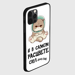 Чехол для iPhone 12 Pro Я в самом расцвете сил, цвет: 3D-черный — фото 2