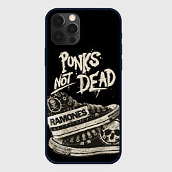 Чехол iPhone 12 Pro Punk Shoes