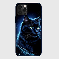 Чехол для iPhone 12 Pro Черный кот - брызги воды, цвет: 3D-черный