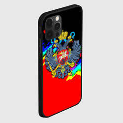 Чехол для iPhone 12 Pro Имперская Россия краски, цвет: 3D-черный — фото 2