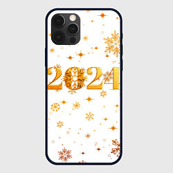 Чехол iPhone 12 Pro Новый 2024 год - золотой