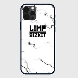 Чехол для iPhone 12 Pro Limp bizkit storm black, цвет: 3D-черный