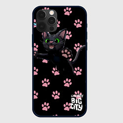 Чехол iPhone 12 Pro Little kitty