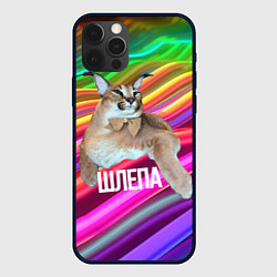 Чехол iPhone 12 Pro Мем кот Шлепа