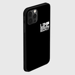 Чехол для iPhone 12 Pro Lim Bizkit logo, цвет: 3D-черный — фото 2