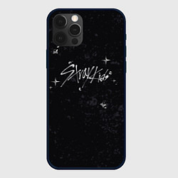 Чехол iPhone 12 Pro Stray Kids жидкий металл