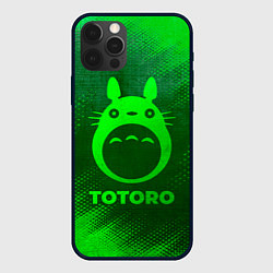 Чехол iPhone 12 Pro Totoro - green gradient