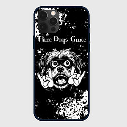 Чехол iPhone 12 Pro Three Days Grace рок пес