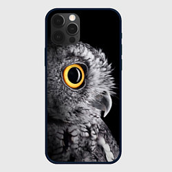 Чехол для iPhone 12 Pro Сова - всевидящее око - big picture, цвет: 3D-черный