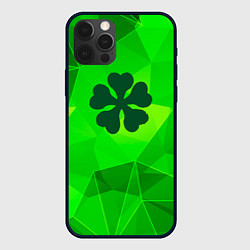 Чехол для iPhone 12 Pro Black Clover green poly, цвет: 3D-черный