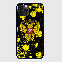 Чехол для iPhone 12 Pro Жёлтые краски герб, цвет: 3D-черный