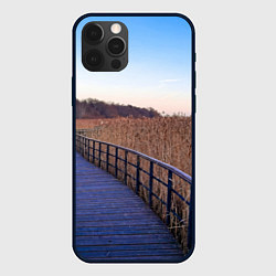 Чехол iPhone 12 Pro Камышовые плавни на Финском заливе