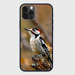 Чехол iPhone 12 Pro Дятел в лесу