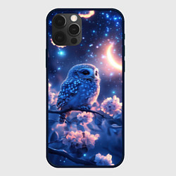 Чехол iPhone 12 Pro Сова под луной