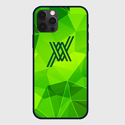 Чехол для iPhone 12 Pro Darling in the FranXX green poly, цвет: 3D-черный