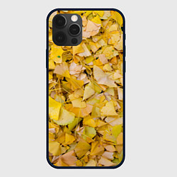 Чехол для iPhone 12 Pro Осенние краски - текстура листвы, цвет: 3D-черный