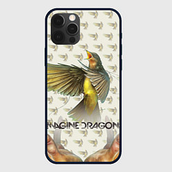 Чехол iPhone 12 Pro Imagine Dragons: Fly