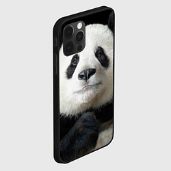 Чехол для iPhone 12 Pro Взгляд пандочки, цвет: 3D-черный — фото 2