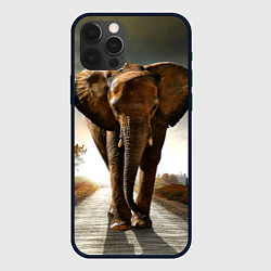 Чехол iPhone 12 Pro Дикий слон