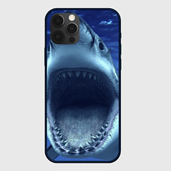 Чехол iPhone 12 Pro Белая акула