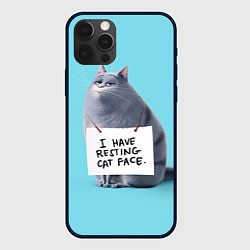 Чехол iPhone 12 Pro I have resing cat face