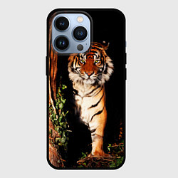 Чехол для iPhone 13 Pro Тигр выглядывает из темноты - большая картинка, цвет: 3D-черный