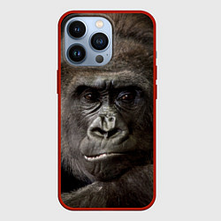 Чехол iPhone 13 Pro Глаза гориллы