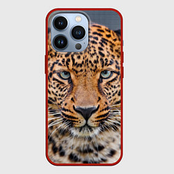 Чехол для iPhone 13 Pro Грустный леопард, цвет: 3D-красный