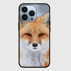 Чехол для iPhone 13 Pro Хитрая лиса, цвет: 3D-черный